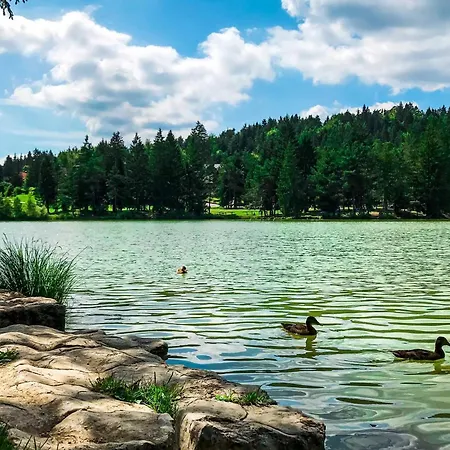 Mrzek House With Sauna - Happy *