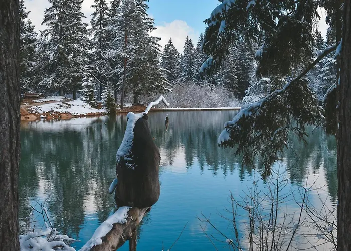 Mrzek House With Sauna - Happy Casa vacanze *