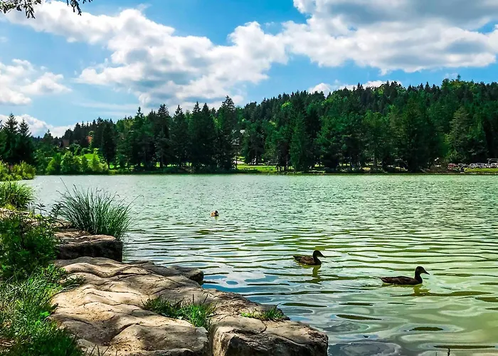 Mrzek House With Sauna - Happy *